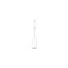 Adaptateur Thunderbolt vers Firewire